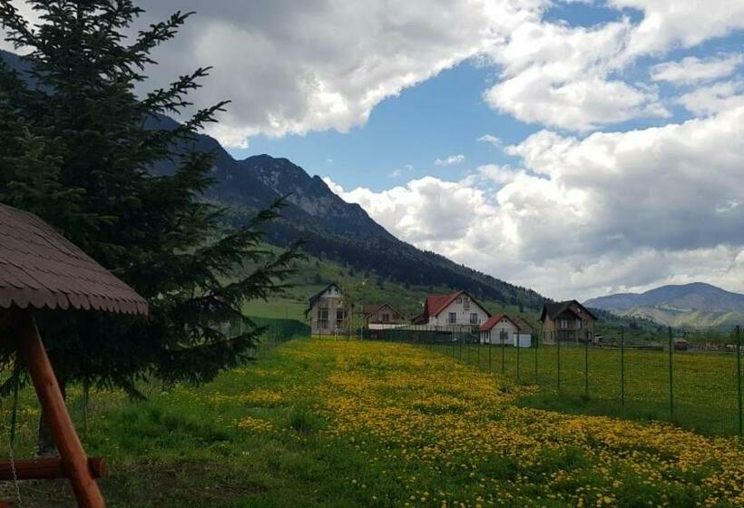 Номер Стандарт, Pensiunea Casa Zarnesteana