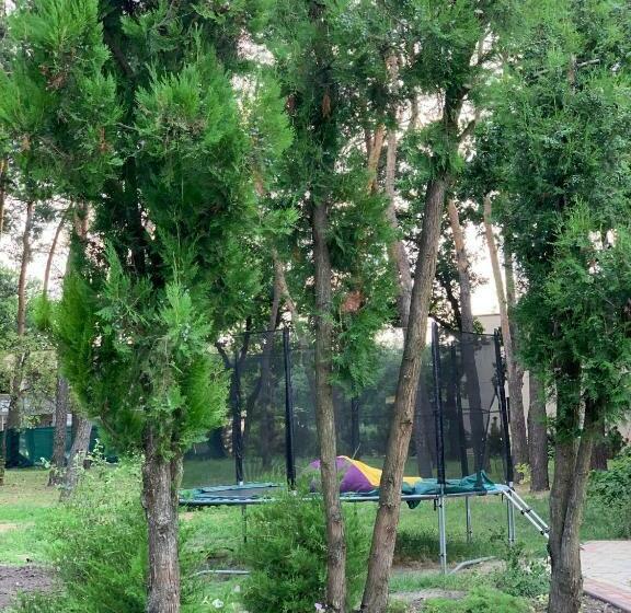 اتاق خانوادگی, апартаменти у лісі