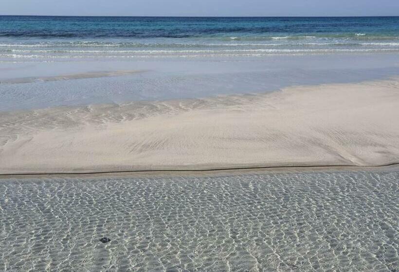 اتاق اکونومی, Scoglio Di Pirro B&b