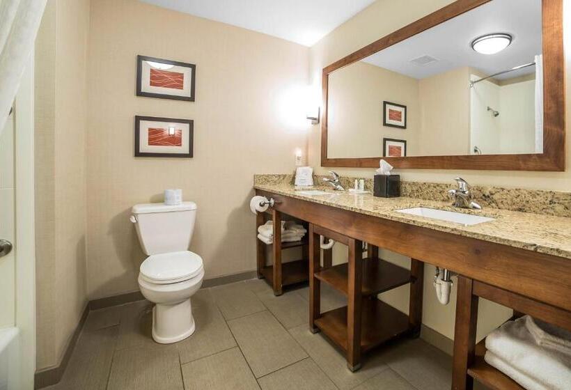 Номер Стандарт, Comfort Suites Moab Near Arches National Park