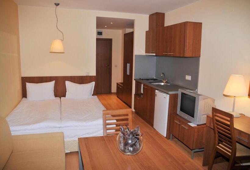 استودیو استاندارد با بالکن, Villa Park Guest Apartments