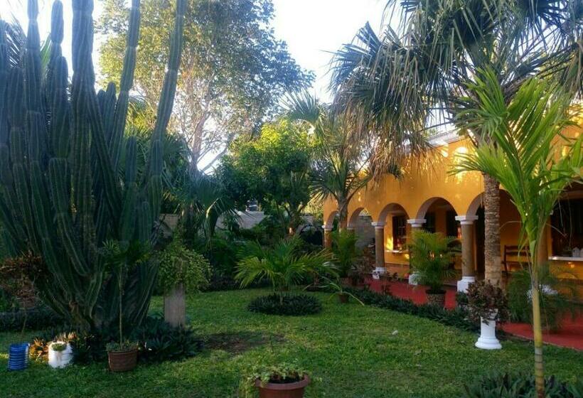 آپارتمان 1 خوابه همکف, Casa Palagui Colonial