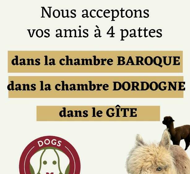 Номер Стандарт, The Alpaca B&b