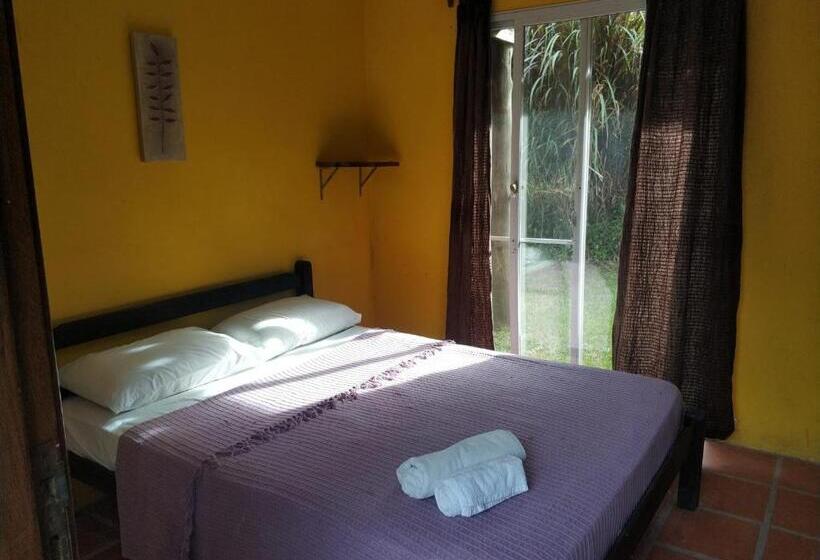 스탠다드 룸, Viajero La Pedrera Hostel
