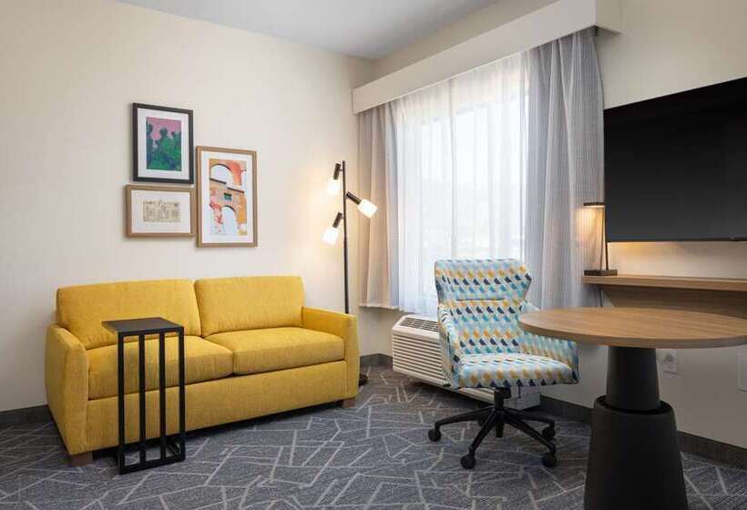 استودیو استاندارد با تخت کینگ, Homewood Suites by Hilton Chicago Downtown / Magnificent Mile