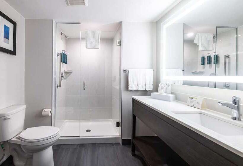 سوئیت با تخت بزرگ, Homewood Suites by Hilton Chicago Downtown / Magnificent Mile