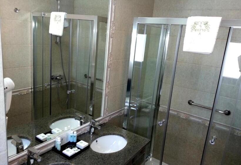اتاق سوپریور, Vile Oliva Hotel & Resort