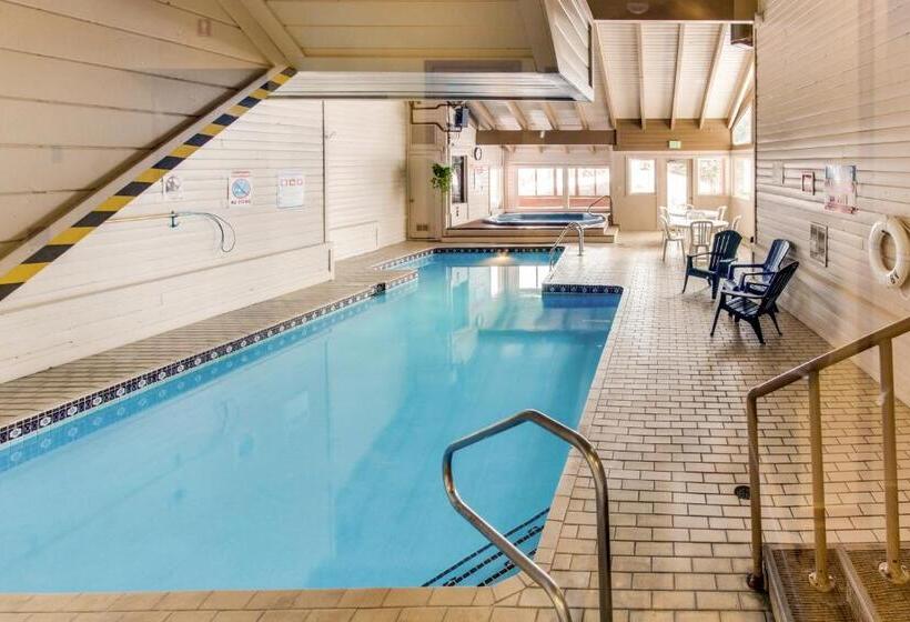 Апартаменты 1 Спальня, Buffalo Village 306