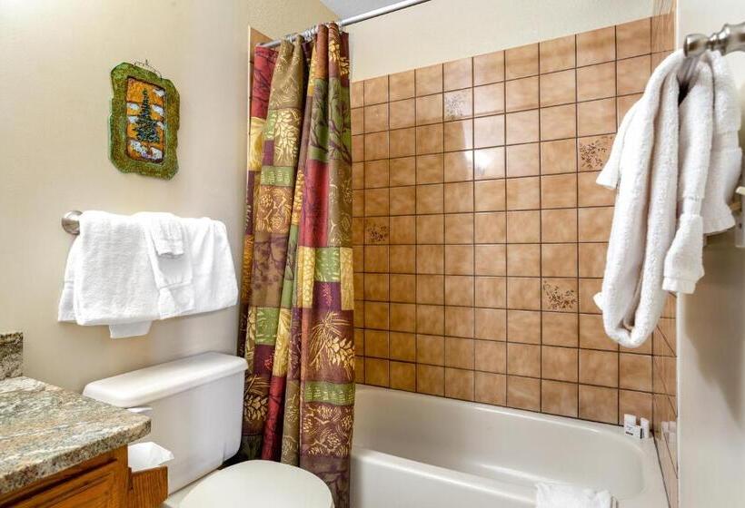 Апартаменты 1 Спальня, Buffalo Village 306