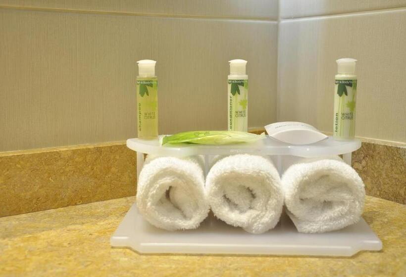 스탠다드 룸 더블 침대 2개, Holiday Inn Express & Suites Bogota Zona Financiera, An Ihg
