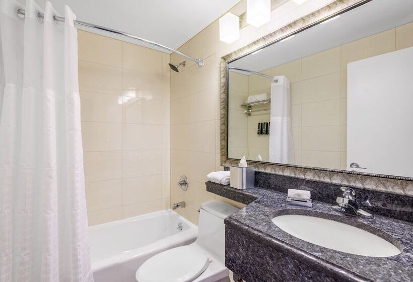 اتاق استاندارد با تخت دوبل, The Lodge Red Hook
