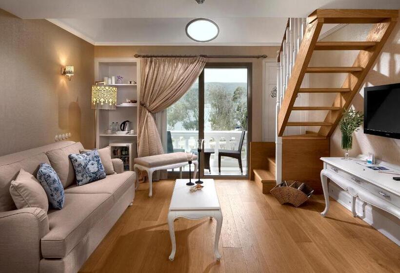 Suite, Antmare