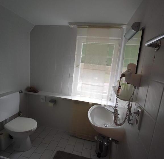 Апартаменты 1 Спальня, Room In Guest Room   Pension Forelle   Doppelzimmer