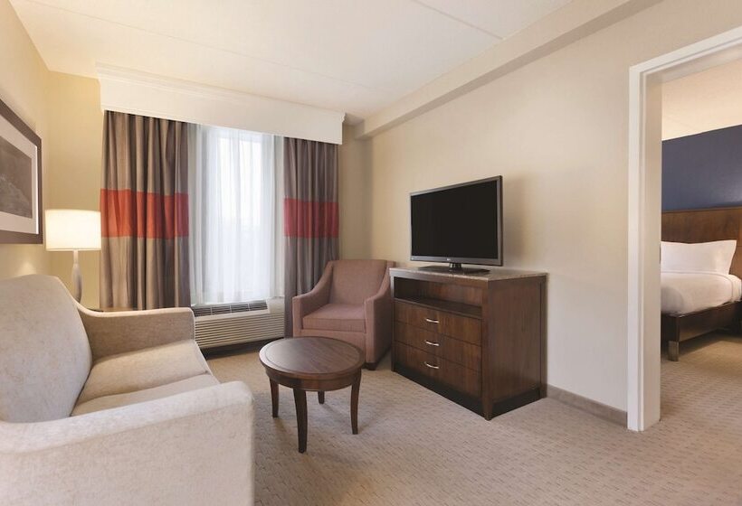 Люкс Кровать Кинг, Hilton Garden Inn Falls Church