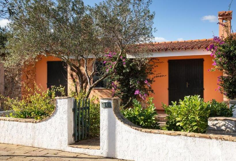 آپارتمان 1 خوابه, Residence Il Melograno