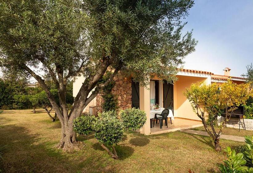 آپارتمان سوپریور 1 خوابه, Residence Il Melograno