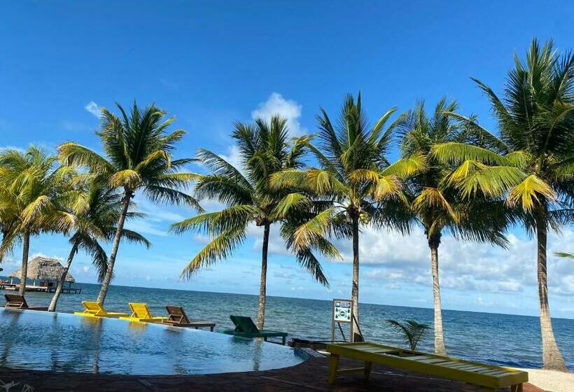 Студия Стандарт, Tranquility Beach Suites