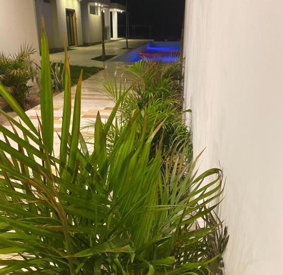 اتاق لوکس, Riviera Vichayito