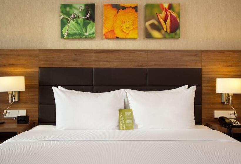 豪华房间, Elements Kirov Hotel 5