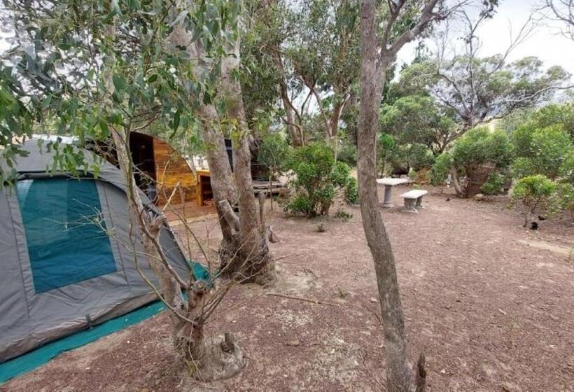 Четырехместный Номер Стандарт, 11 Mountain Stream Hot Tub Self Catering