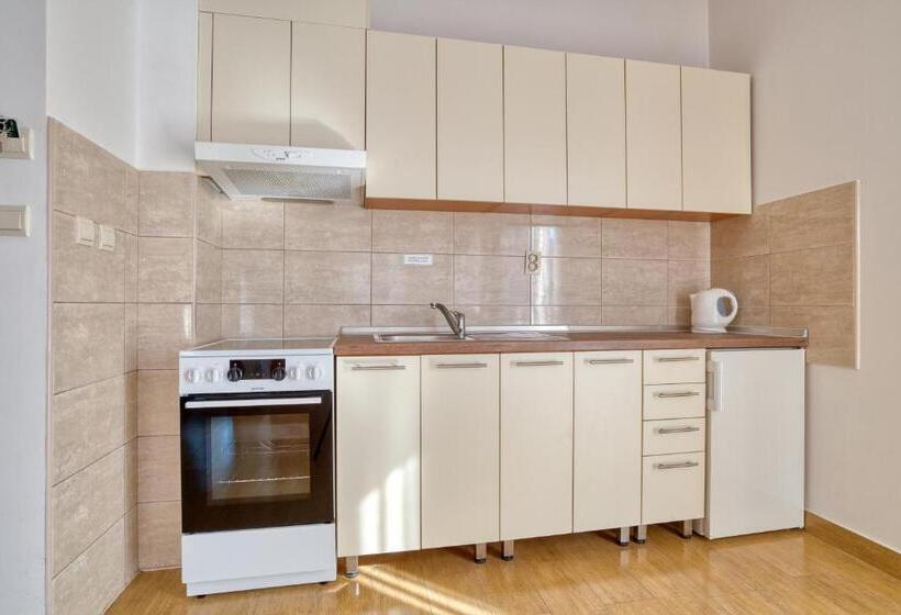 1 Bedroom Deluxe Apartment Sea View, Garni Hotel Milica