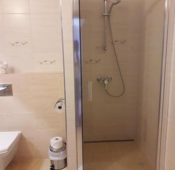 Трехместный Номер Deluxe, Penzión šefčík