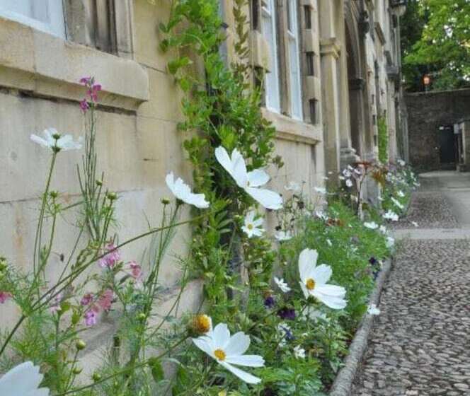 اتاق سوپریور, Christ S College Cambridge