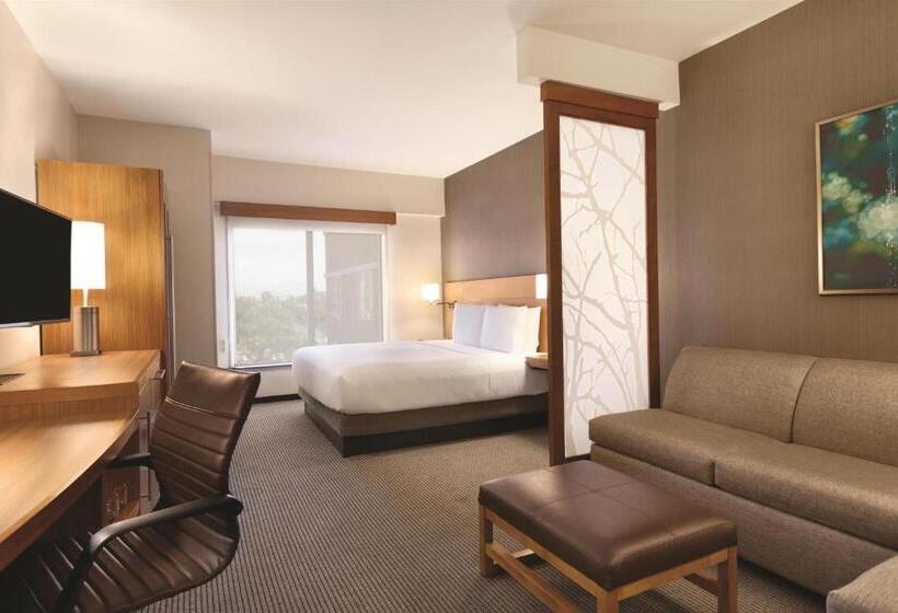 اتاق استاندارد با تخت بزرگ, Hyatt Place At Anaheim Resort/convention Center