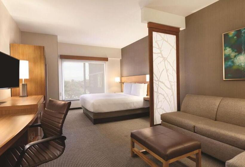 اتاق استاندارد برای معلولان, Hyatt Place At Anaheim Resort/convention Center