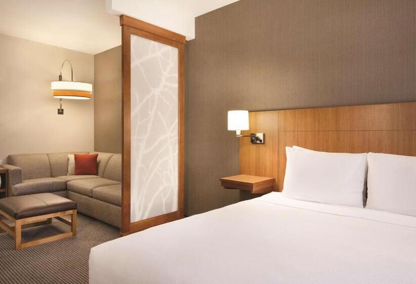 اتاق استاندارد با تخت بزرگ برای معلولان, Hyatt Place At Anaheim Resort/convention Center