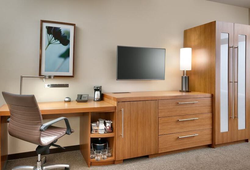 اتاق استاندارد برای معلولان, Hyatt Place At Anaheim Resort/convention Center