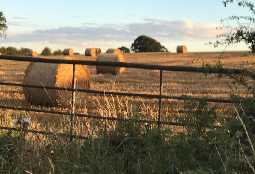 Номер Стандарт, Riding Farm