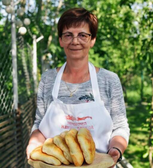 Дом 1 Спальня, Pensiunea Casa Dacilor