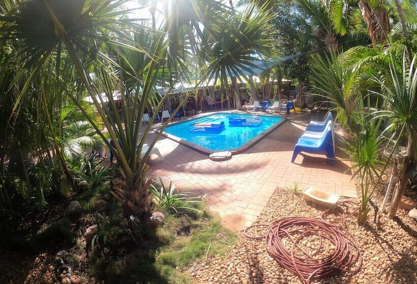 공동 객실, Cable Beach Backpackers   Hostel