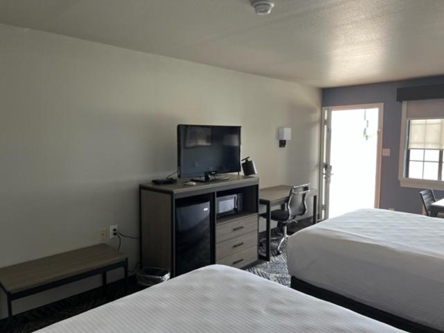豪华房间, Garden Inn & Suite
