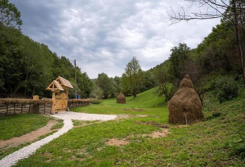 스탠다드 룸, Casa Bunicilor Apuseni
