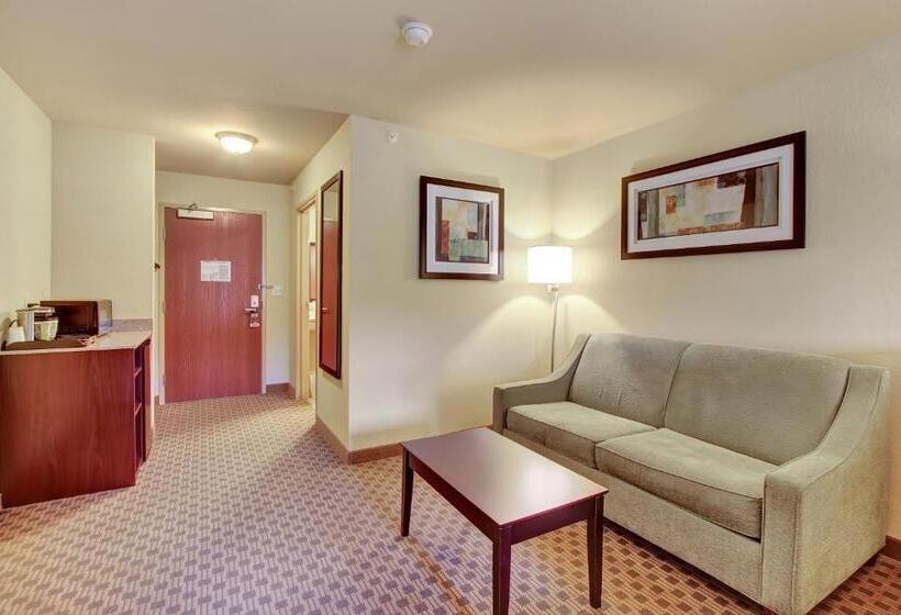 Студио Стандарт Кровать Кинг, Cobblestone Hotel & Suites   Waynesboro