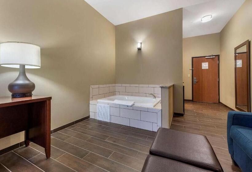 Люкс Кровать Кинг, Comfort Suites Bridgeport  Clarksburg