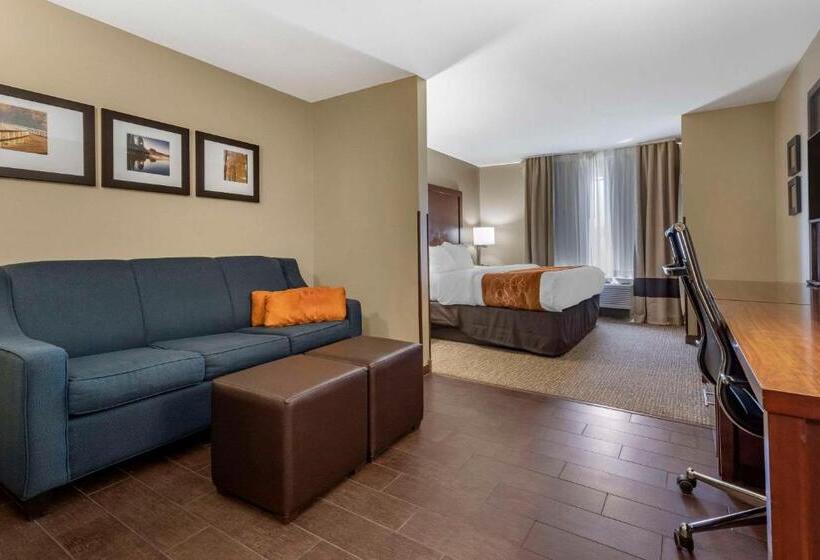 Люкс Кровать Кинг, Comfort Suites Bridgeport  Clarksburg