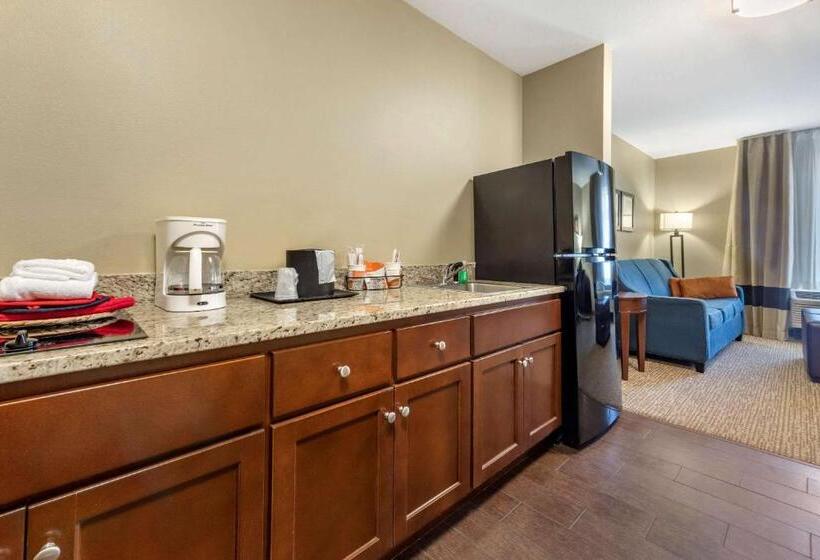 Люкс Адаптированный для Инвалидов, Comfort Suites Bridgeport  Clarksburg