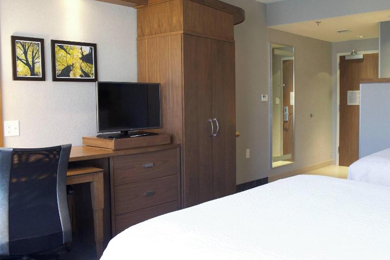 اتاق استاندارد با تخت بزرگ, Courtyard By Marriott Asheville Airport