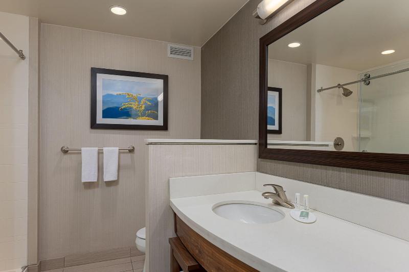 اتاق استاندارد با تخت بزرگ, Courtyard By Marriott Asheville Airport