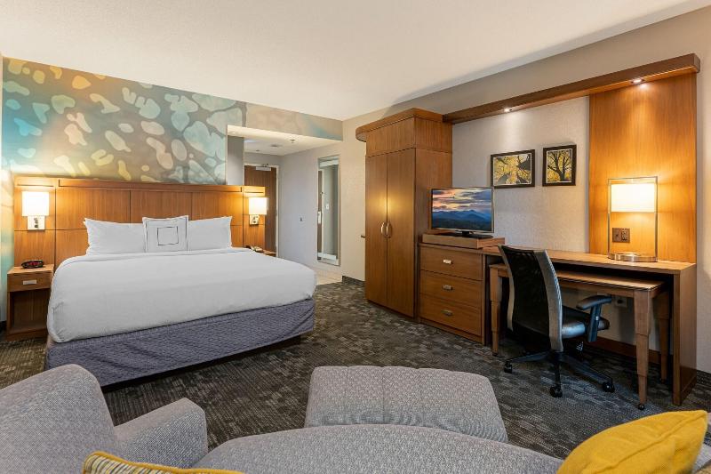 اتاق استاندارد با تخت بزرگ, Courtyard By Marriott Asheville Airport