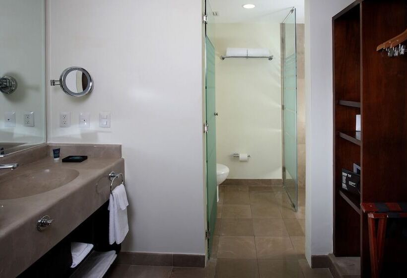 シティビューのダブルベッドスタンダードルーム, Four Points By Sheraton Veracruz