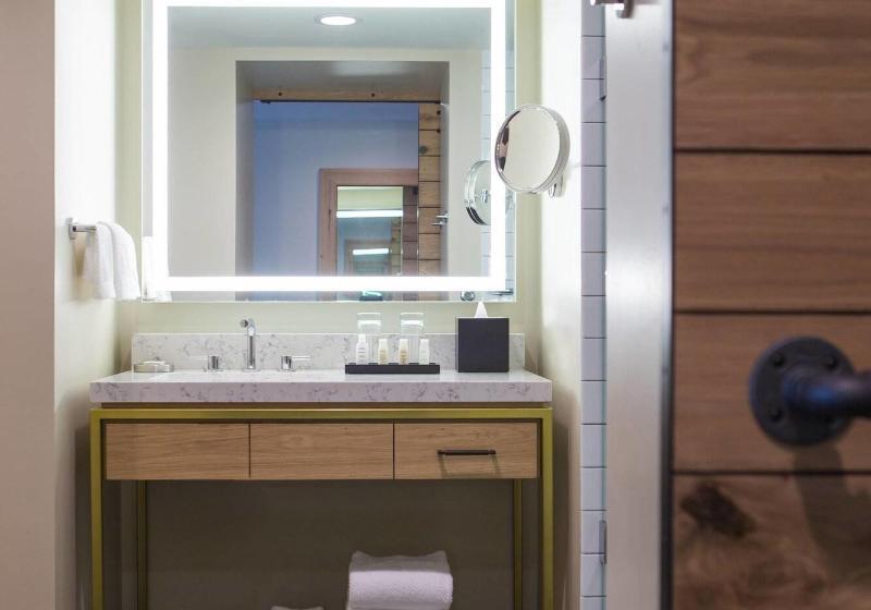 اتاق استاندارد با تخت بزرگ, Renaissance Allentown