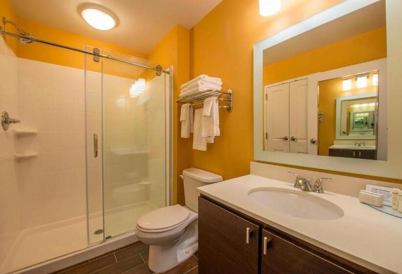 Студио Стандарт Кровать Кинг, Towneplace Suites By Marriott Newnan