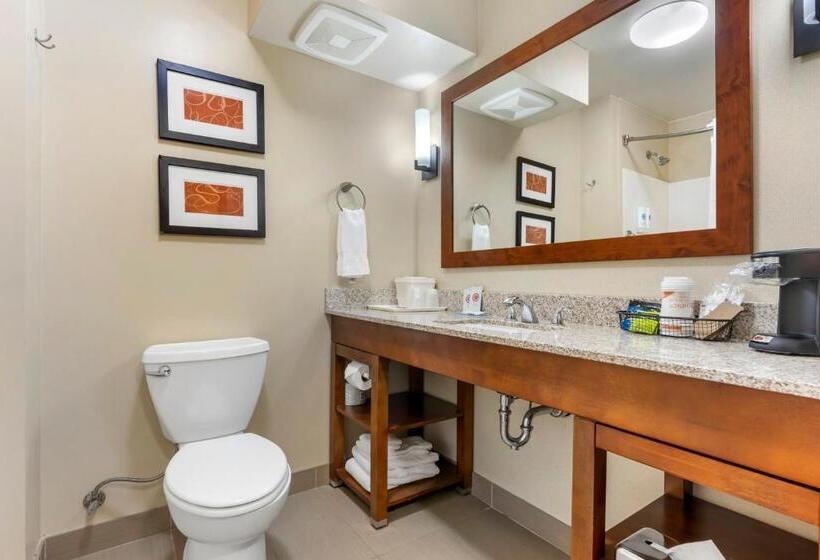 스위트, Comfort Suites Redding  Shasta Lake