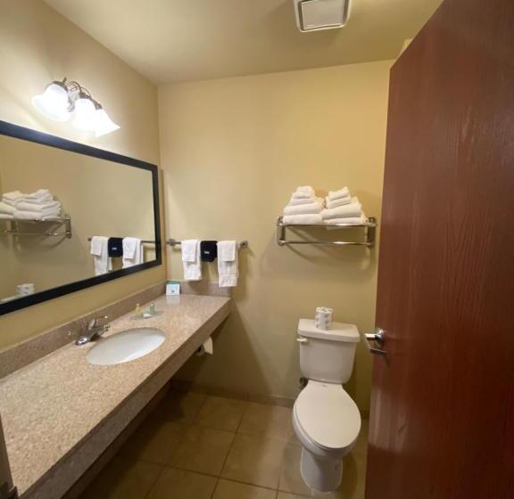 Стандартный Номер Кровать Кинг, Cobblestone Hotel & Suites   Broken Bow