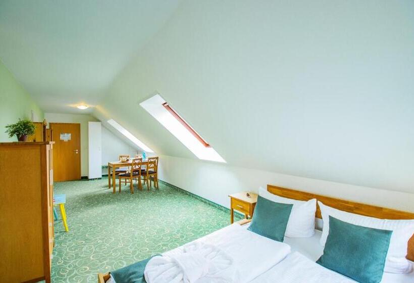 اتاق استاندارد چهار تخته, Ferien Hotel Spreewald