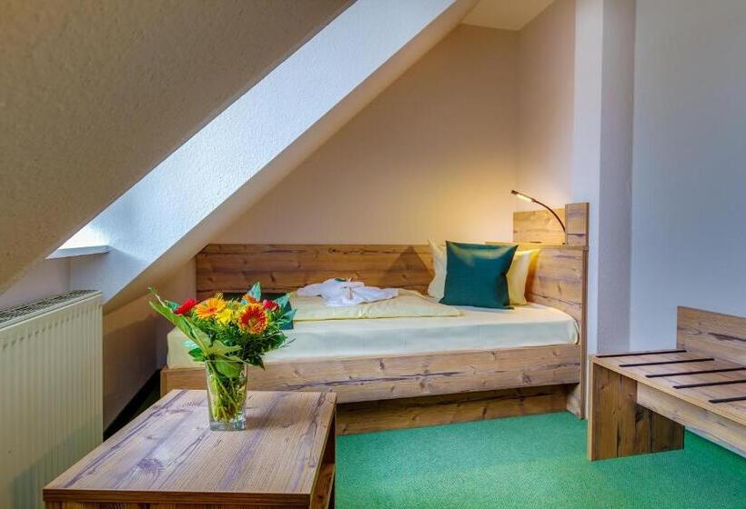 اتاق سوپریور یک تخته, Ferien Hotel Spreewald